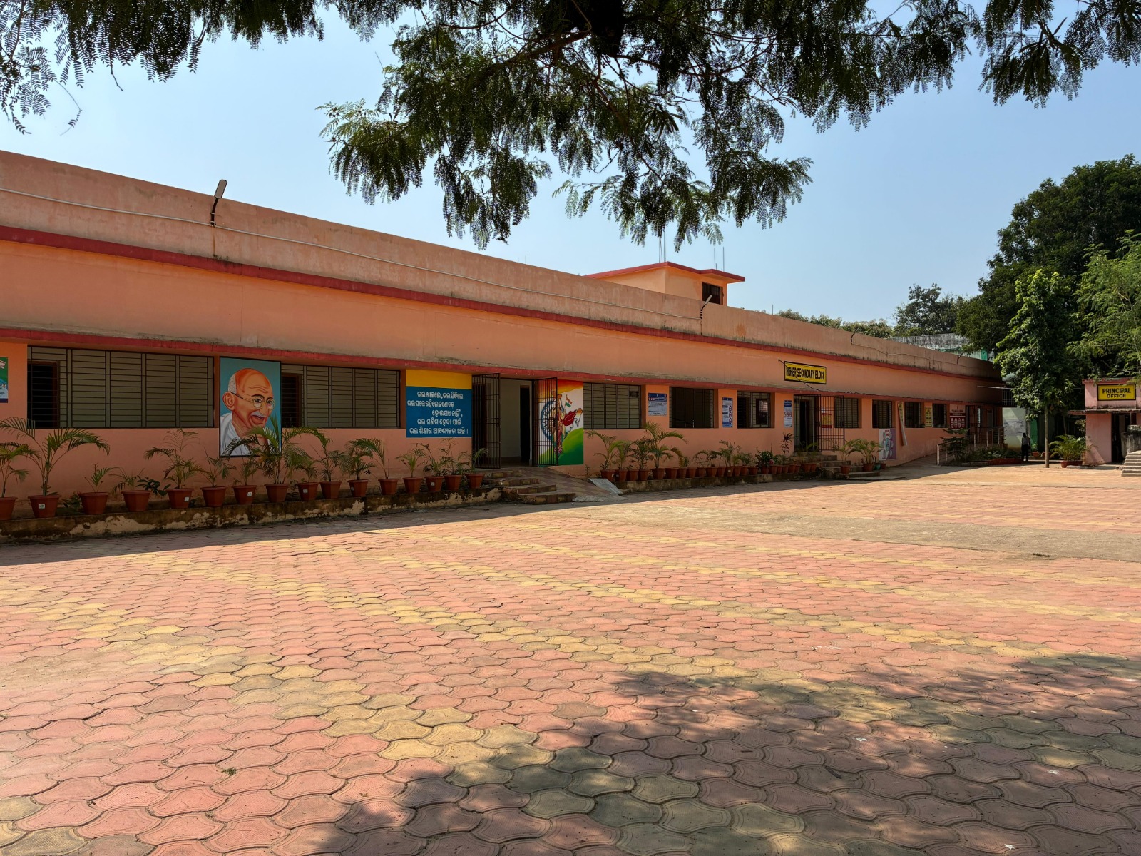 Schools & Departments